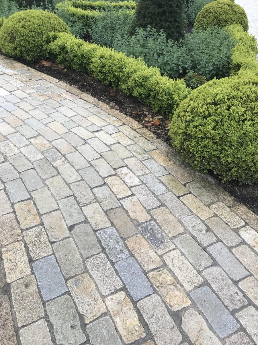 Curved garden pathway with setts
